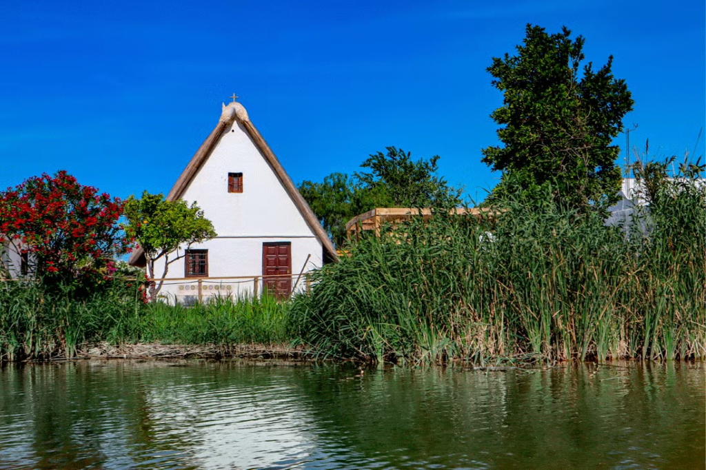 albufera free tour