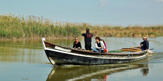 albufera valencia